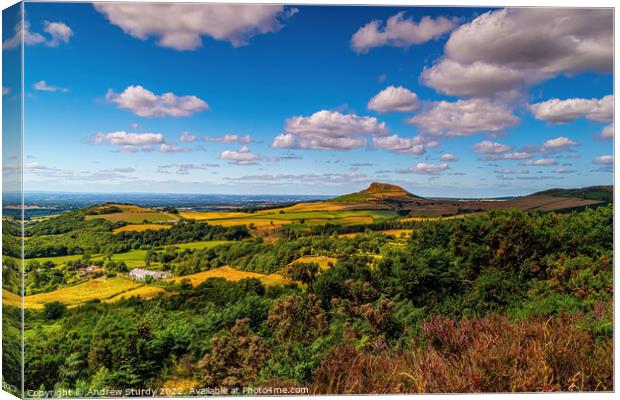 Roseberry Topping Canvas Print by Andrew  Sturdy