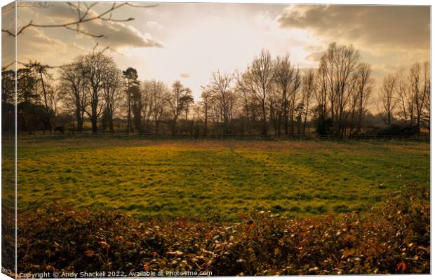 let there be light Canvas Print by Andy Shackell