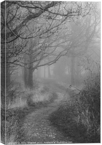 Sentries Canvas Print by Andy Shackell