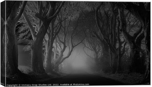 The Dark Hedges at Night Canvas Print by Storyography Photography