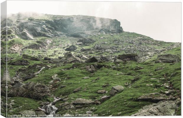 Outdoor mountain Transfagarasan  Canvas Print by Veronika Druzhnieva