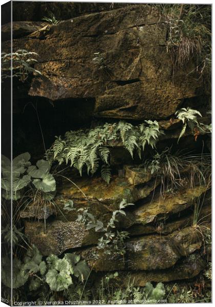 Outdoor stonerock with plants Canvas Print by Veronika Druzhnieva