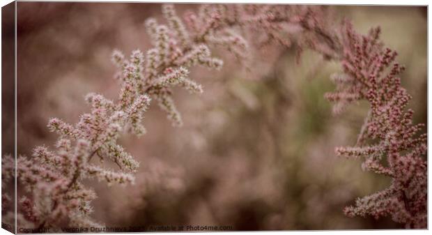 Plant flower close up Canvas Print by Veronika Druzhnieva