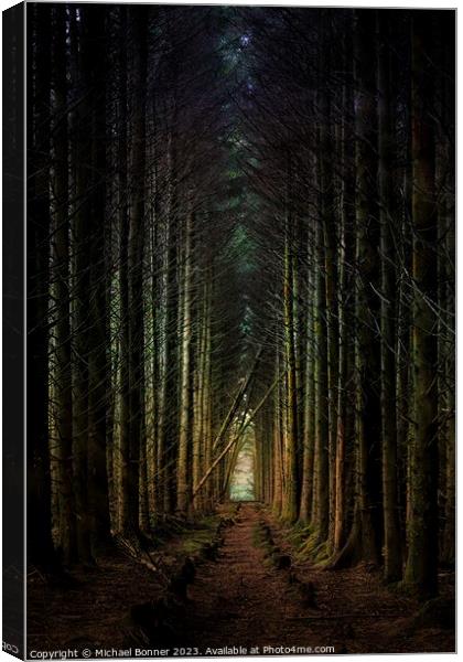Soft light through the forest Canvas Print by Michael Bonner