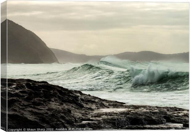 A Passing Wave Canvas Print by Shaun Sharp