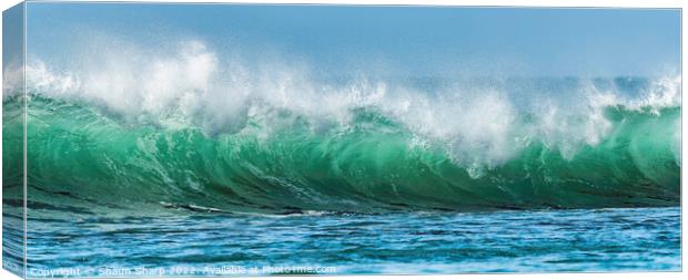Green Wave Canvas Print by Shaun Sharp