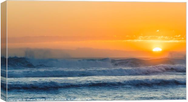 A Gunnamatta Sunset Canvas Print by Shaun Sharp