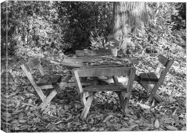 Picnic in the woods Canvas Print by Mark Weekes