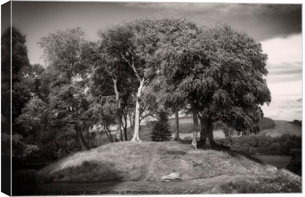 Castle Kennedy Gardens Canvas Print by STEVEN CALCUTT