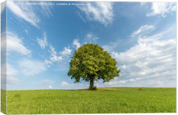 Lone tree on a hill in the French countryside Canvas Print by Christian Decout