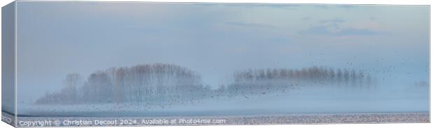 Morning mists in the plain in winters. Canvas Print by Christian Decout