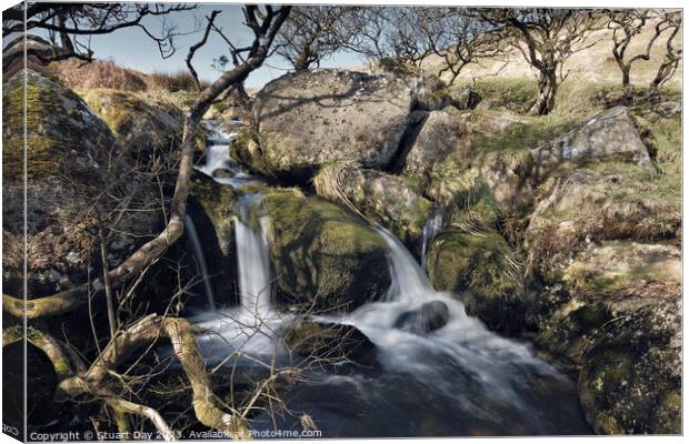 The Enchanted Waterfalls of Red Brook Canvas Print by Stuart Day