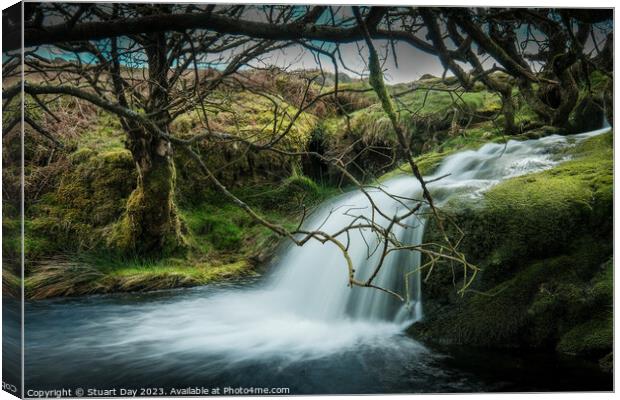 The Enchanted Waterfalls Of Red Brook Canvas Print by Stuart Day