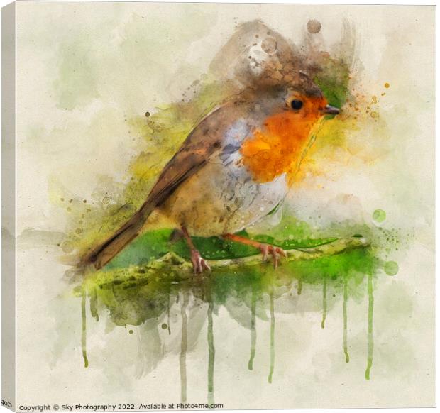 Robin in the woods Canvas Print by Sky Photography
