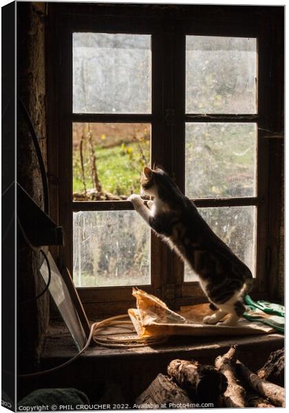 The look out Canvas Print by PHIL CROUCHER