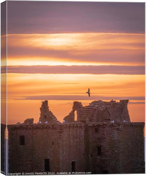 Majestic Sunrise over Dunnottar Castle Canvas Print by DAVID FRANCIS