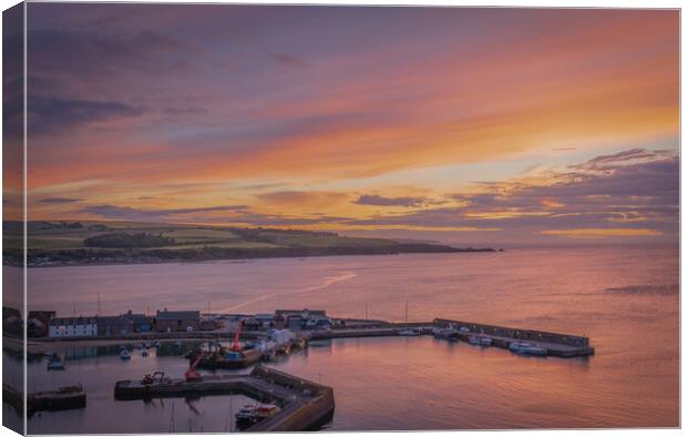 Majestic Sunrise in Stonehaven Canvas Print by DAVID FRANCIS