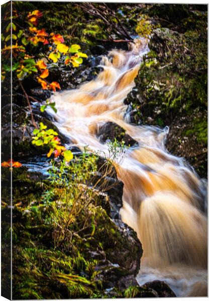 Thunderous Beauty of Scottish Falls Canvas Print by DAVID FRANCIS