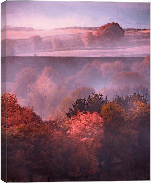 Enchanting Autumn Mist Canvas Print by DAVID FRANCIS