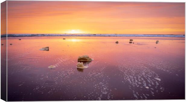 Majestic Sunrise over Montrose Beach Canvas Print by DAVID FRANCIS