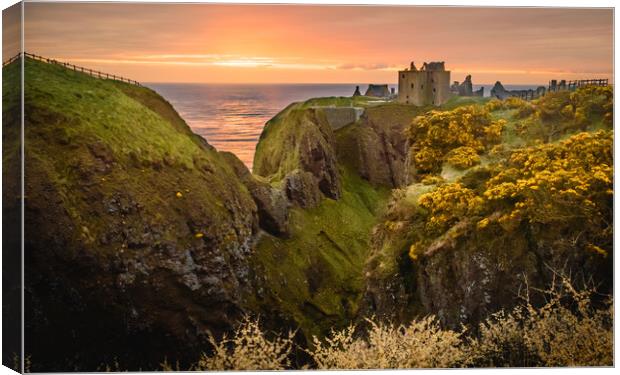 Sunrise at Dunnottar Castle Stonehaven Canvas Print by DAVID FRANCIS