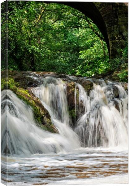 Spectacular Arbirlot Waterfall After the Rain Canvas Print by DAVID FRANCIS