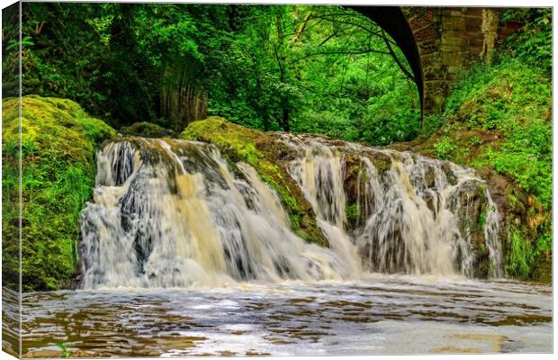 Majestic Arbirlot Waterfall After the Rain Canvas Print by DAVID FRANCIS