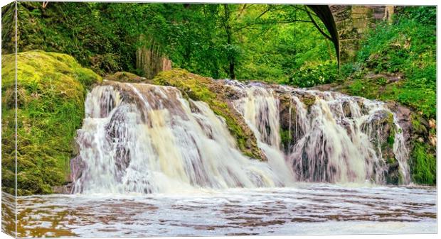 Spectacular Arbirlot Waterfall After the Rain Panorama  Canvas Print by DAVID FRANCIS