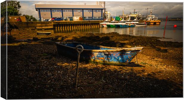 Small Boat in Montrose Harbour Shadows Canvas Print by DAVID FRANCIS