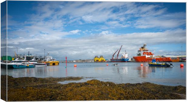 Montrose Harbour Panorama Canvas Print by DAVID FRANCIS