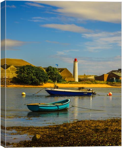 Beacon in Montrose Harbour Scotland Canvas Print by DAVID FRANCIS
