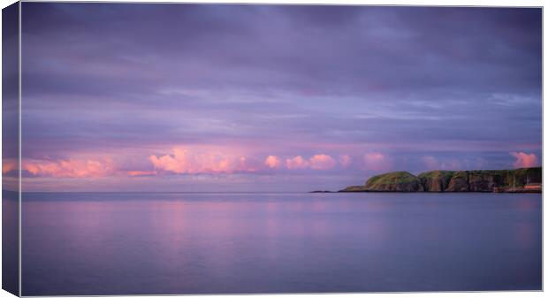 Looking back from the Sunrise over Stonehaven Bay Canvas Print by DAVID FRANCIS