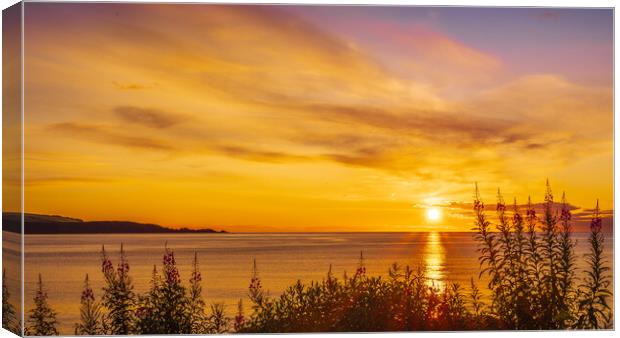 Golden sunrise over Stonehaven Bay in Scotland Canvas Print by DAVID FRANCIS