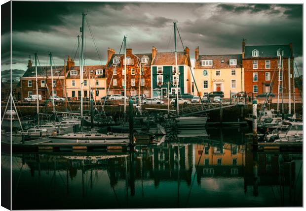 Colourful Houses at Arbroath Harbour Canvas Print by DAVID FRANCIS