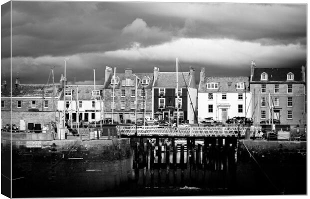 Colourful Houses at Arbroath Harbour Mono Canvas Print by DAVID FRANCIS