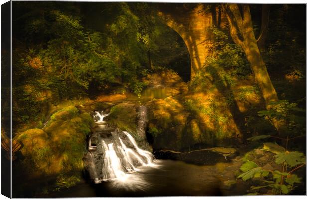 Spectacular Arbirlot Falls in Scotland Canvas Print by DAVID FRANCIS