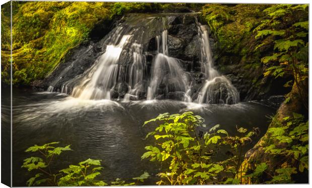 Spectacular Arbirlot Waterfall in Scotland Canvas Print by DAVID FRANCIS