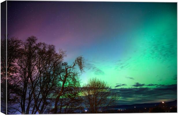 Brilliant Aurora over Laurencekirk Scotland  Canvas Print by DAVID FRANCIS