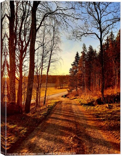 Road from the Swedish farm Canvas Print by Freya Forest