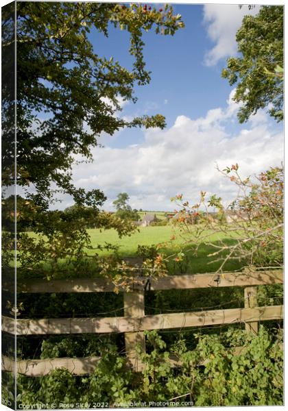 Looking over fence towards Oxfordshire village Canvas Print by Rose Sicily