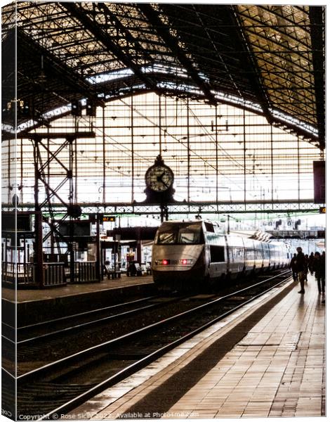 SNCF TGV train entering Bordeaux railway station France Canvas Print by Rose Sicily