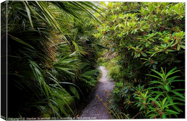 The sub-tropical Trebah Garden in Cornwall. Canvas Print by Gordon Scammell