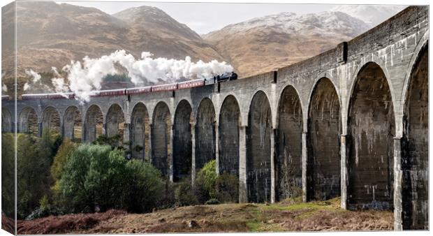 Steam Train in Scotland Canvas Print by Elizabeth Hudson