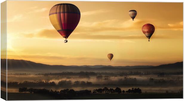 Hot Air Baloons during a beautiful Sunset Canvas Print by Elizabeth Hudson