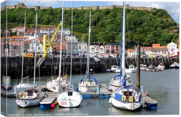 Scarborough Harbour Canvas Print by Drew Gardner