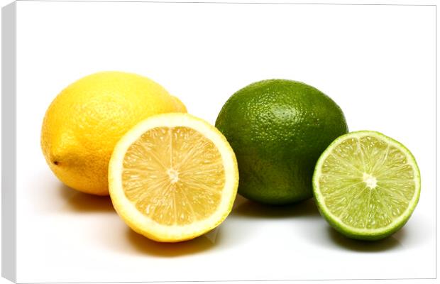 Lemons and Limes Canvas Print by Drew Gardner
