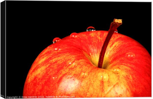 Ripe Red Apple Canvas Print by Drew Gardner