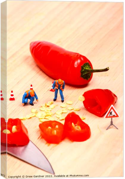 Hot Chilli  Canvas Print by Drew Gardner