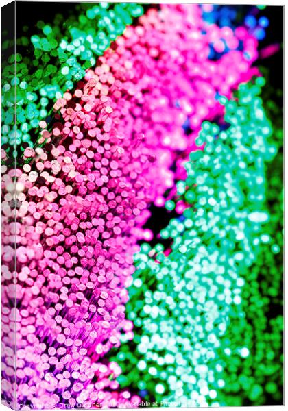 Fibre Optic Canvas Print by Drew Gardner