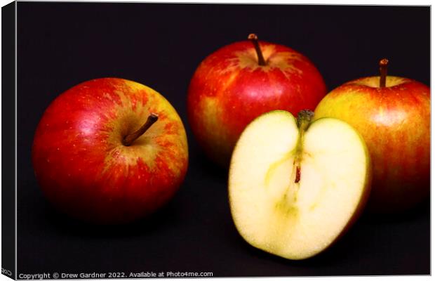 Apples Canvas Print by Drew Gardner